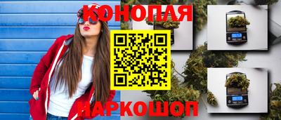 стафф Берёзовский