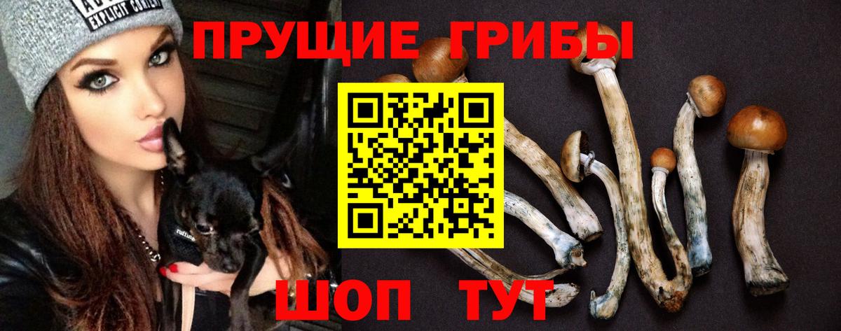 Галлюциногенные грибы мицелий  Вход с VPN  Кандалакша 